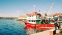 Eski Foça, Şeytan Sofrası, Ayvalık Sokakları & Cunda Adası Turu