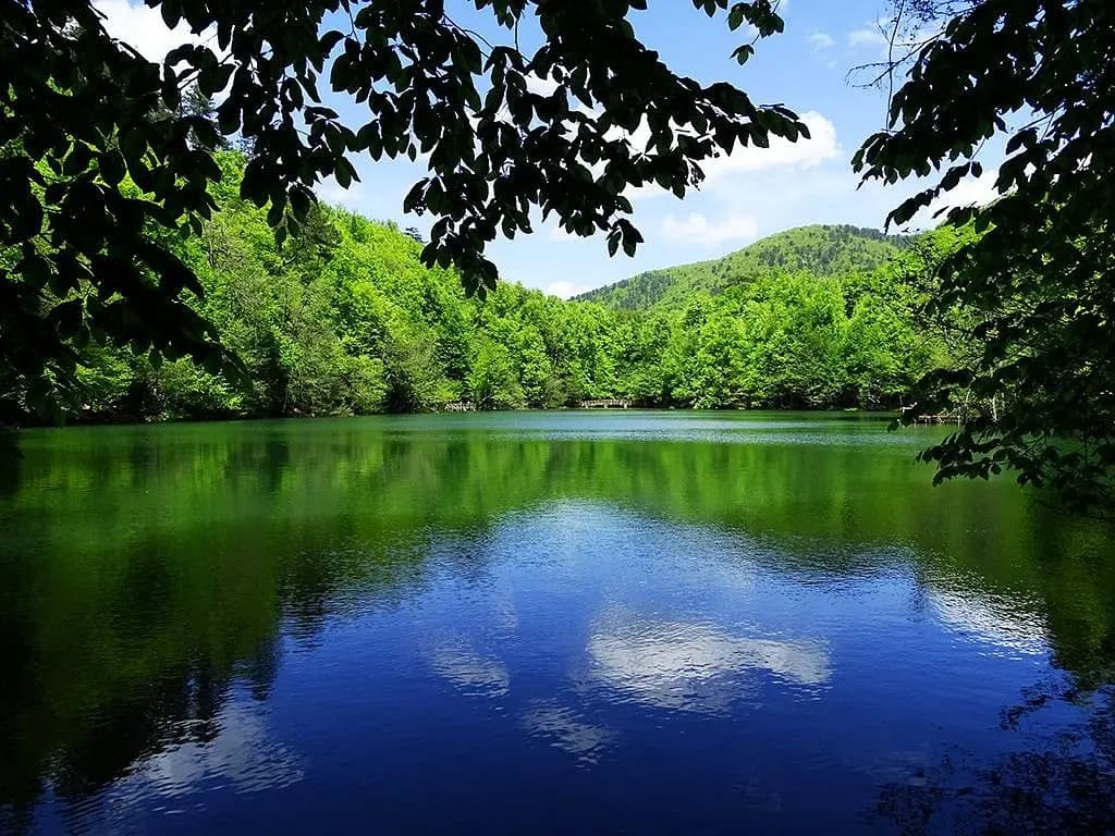 Batı Karadeniz Turu ( 2 Gün 1 Gece ) - 3