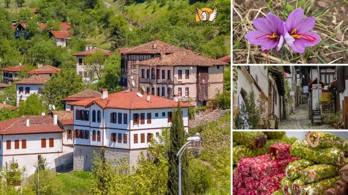 Batı Karadeniz Turu ( 2 Gün 1 Gece ) - 4