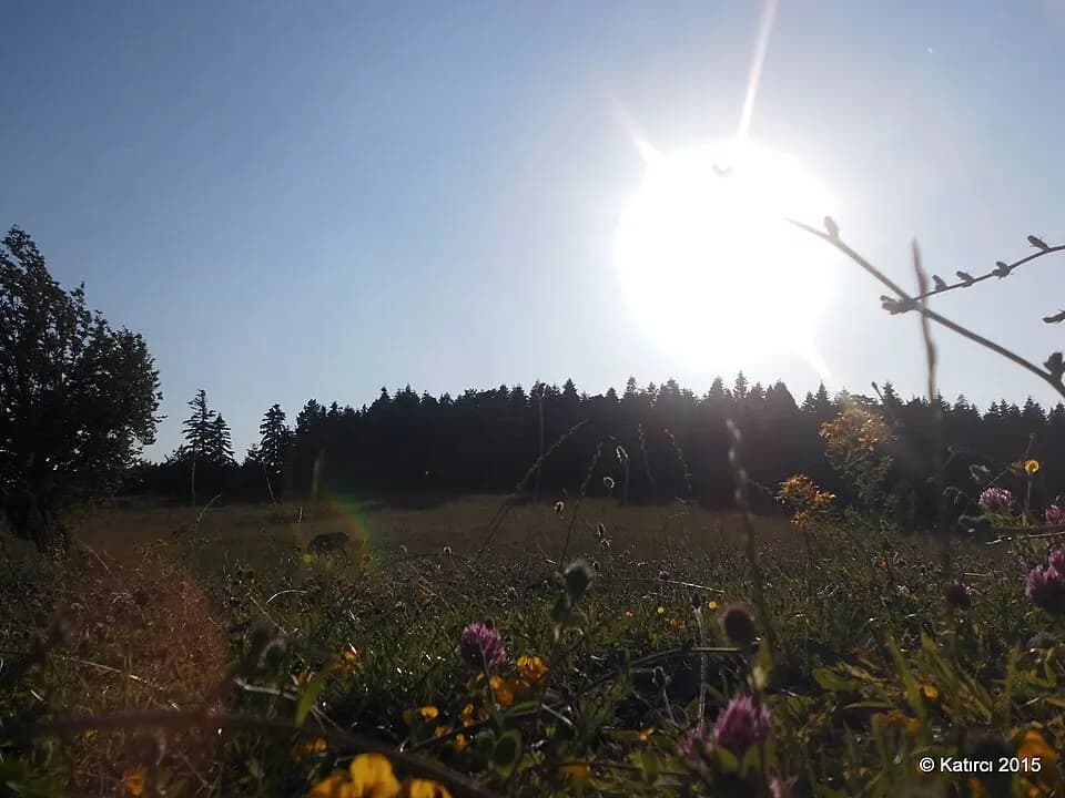 Sinop, Kastamonu, Safranbolu, Horma Kanyonu  Turu - 2 Gün 1 Gece - 4