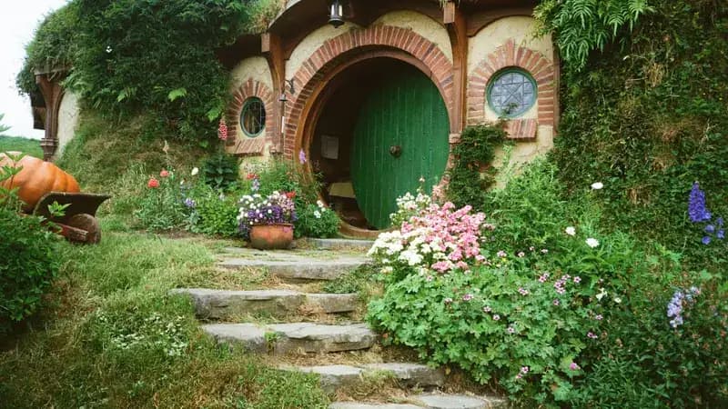 Kartepe, Sapanca, Ayrı Gezegen Cam Teras & ORMANYA Doğal Yaşam Parkı Turu