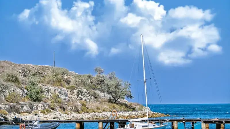 Ayvalık Tekne & Cunda Adası Turu