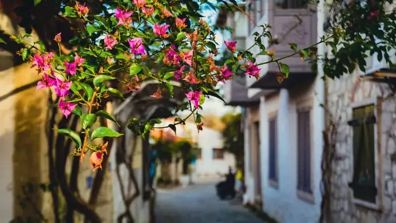 Butik Ege Turu (Sığacık, Çeşme & Alaçatı)