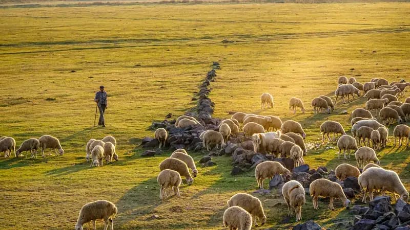 Tunceli & Kemaliye & Sivas & Divriği & Elazığ & Darende & Kayseri Turu