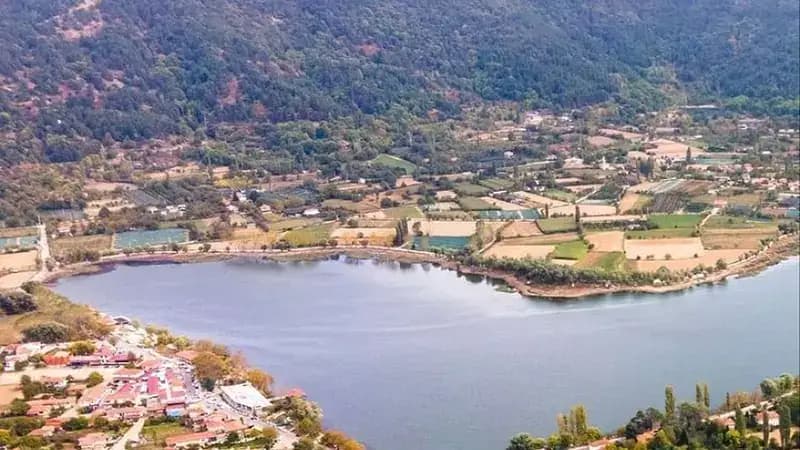 Tire, Ödemiş & Birgi Turu