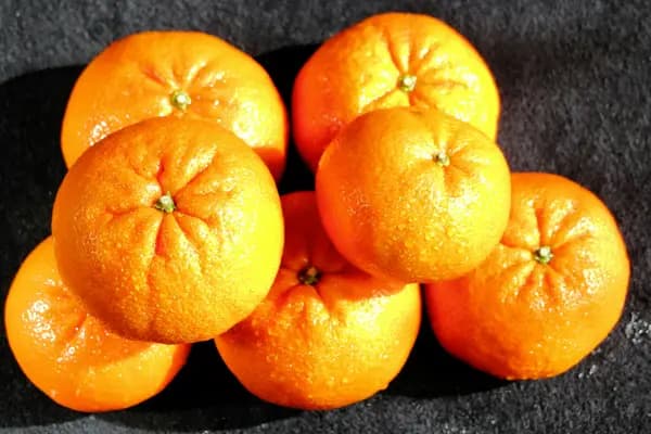 Seferihisar Mandalina Festivali Turu