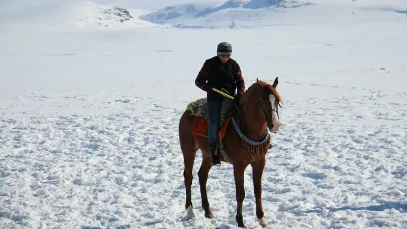 Uçaklı Kars & Doğubeyazıt & Van Turu