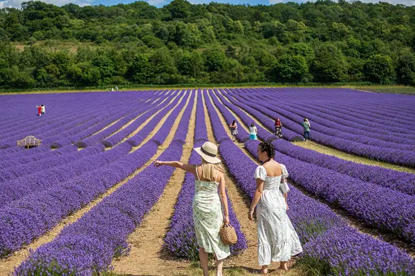 Lavanta Tarlaları, Salda Gölü & Sagalassos Antik Kenti Turu