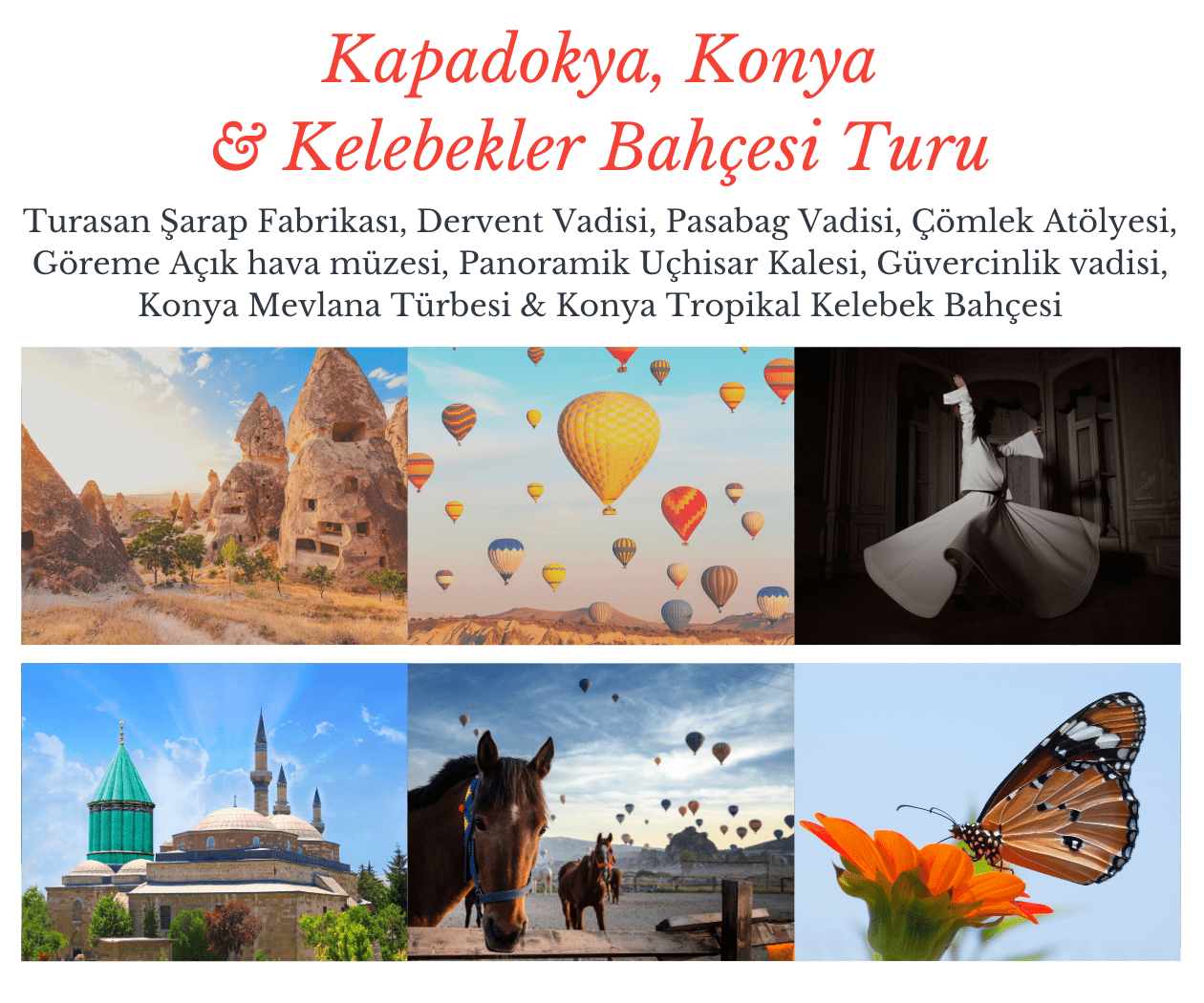 pamukkale kuşadası turu